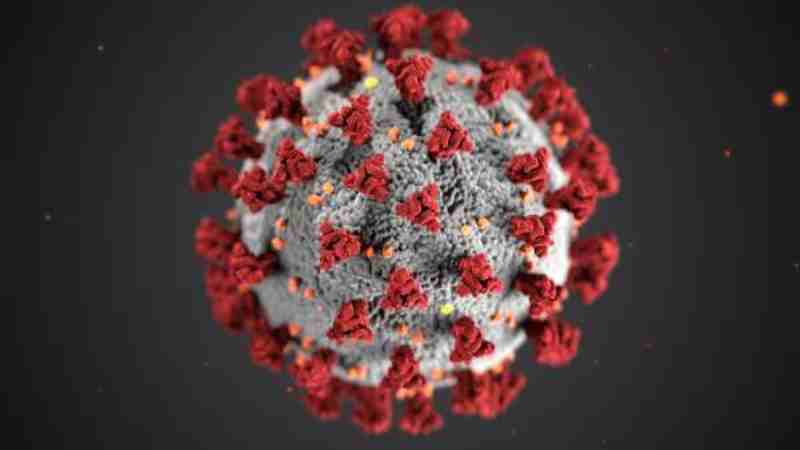 science articles coronavirus