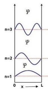 black body radiation
