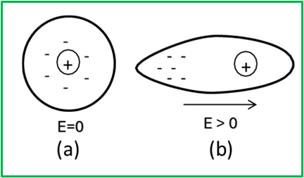 Electric Field Direction